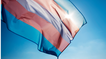 Transgender flag