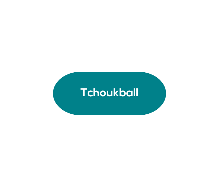 Tchoukball Icon